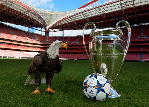 鲁媒：山东队4外援出征武汉，依木兰、陈泽仕已提前抵达（鲁媒：山东队四外援奔赴武汉，依木兰、陈泽仕已先行抵达）